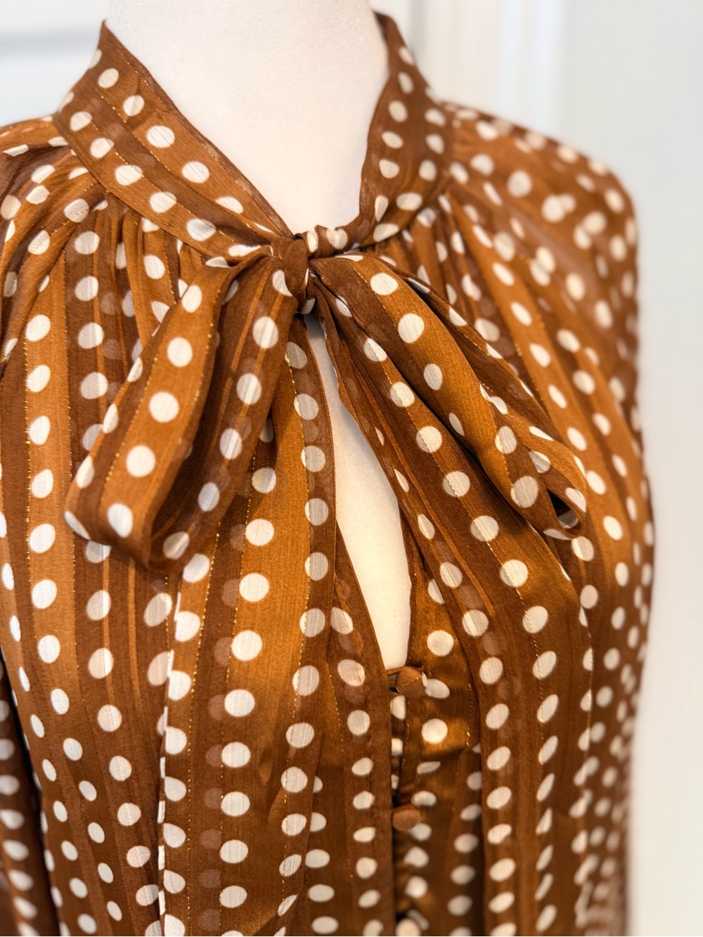 Polka Dot Tie-Neck Blouse in Brown and White